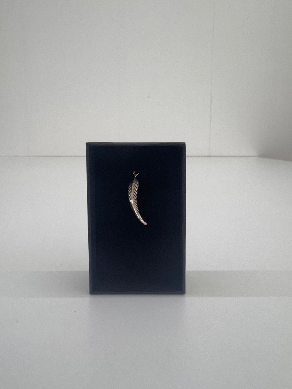 Colgante Charm Plata Pluma 29 x 5 mm