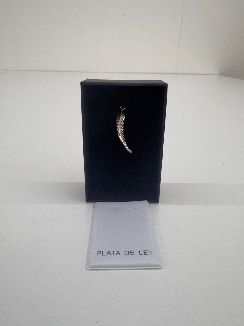 Colgante Charm Plata Pluma 29 x 5 mm